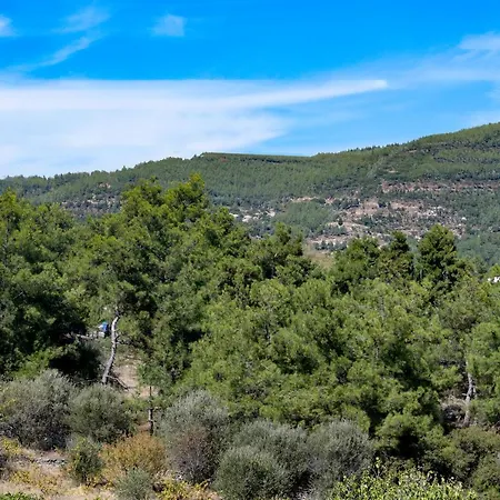 M2studio * Кавала